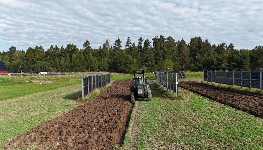 Solpaneler på åkrar kan förändra både energin och jordbruket. Foto: Mälardalens universitet