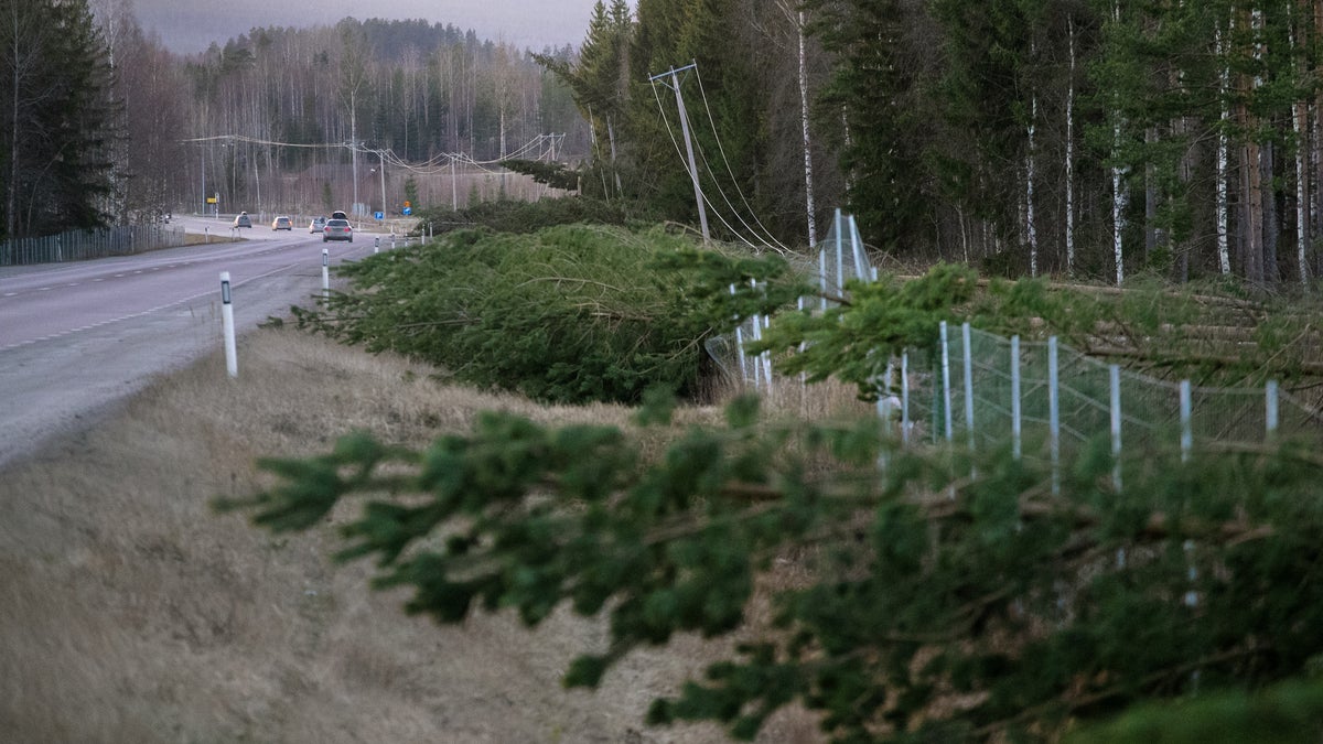 ”Vi prioriterar de mest utsatta” – så hanterar kommunen stormkrisen - Ljusnan