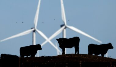 Majoritet av USA-väljare sågar Trumps klimatpolitik