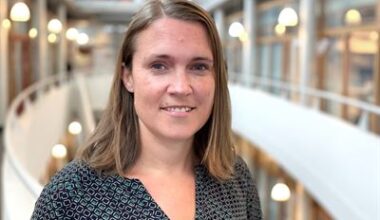 Fet ost kopplas till lägre risk för demens