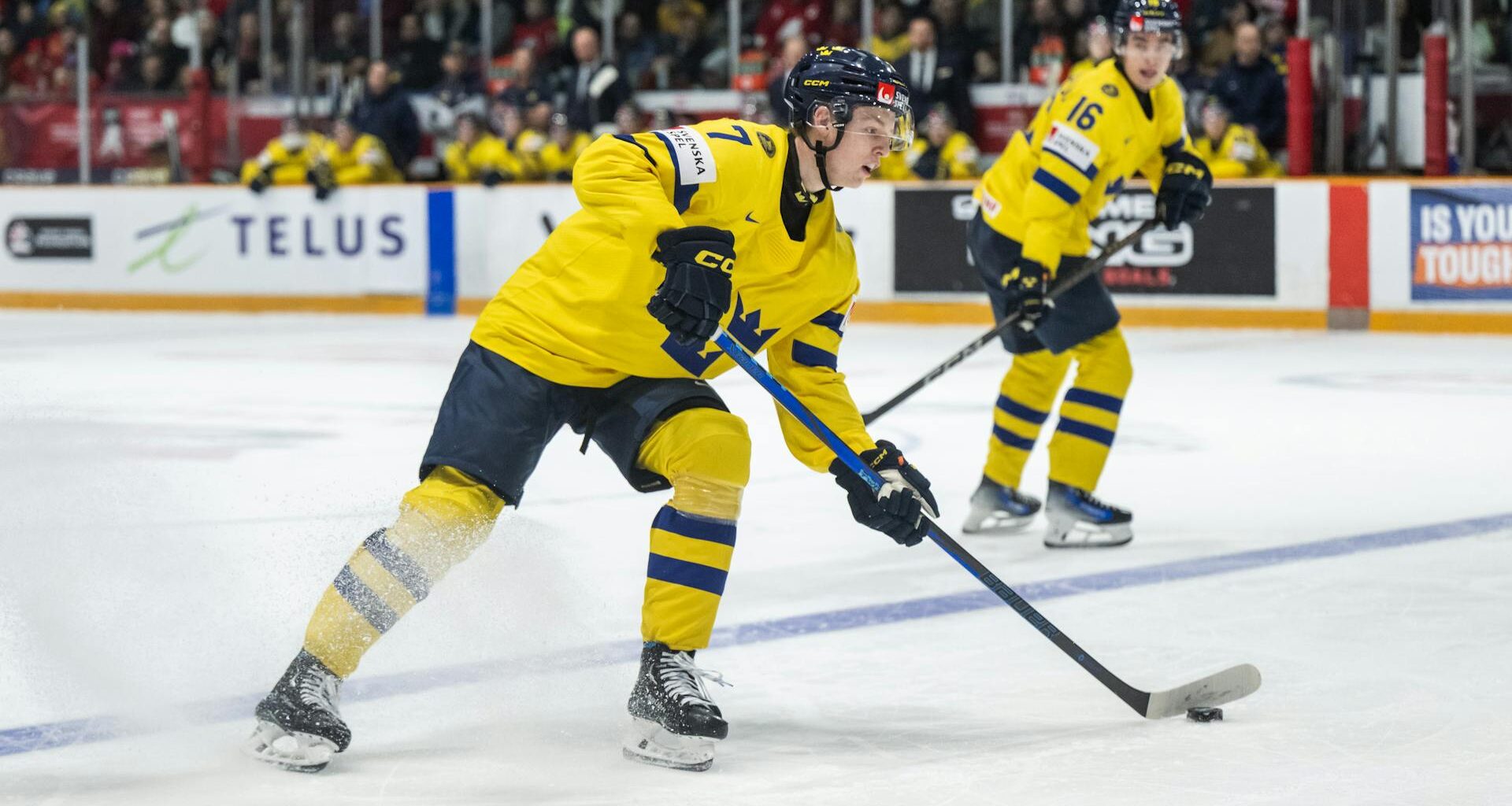 Viggo Gustafsson uttagen i JVM-truppen