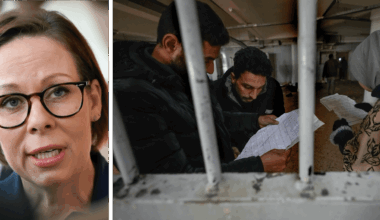 Malmer Stenergard om läckan: ”Svårt att ta in”