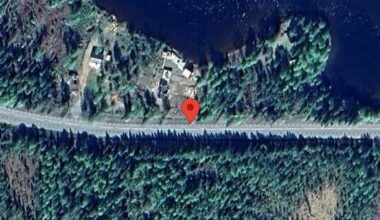 Nedfallna träd påverkar trafiken på väg 1014