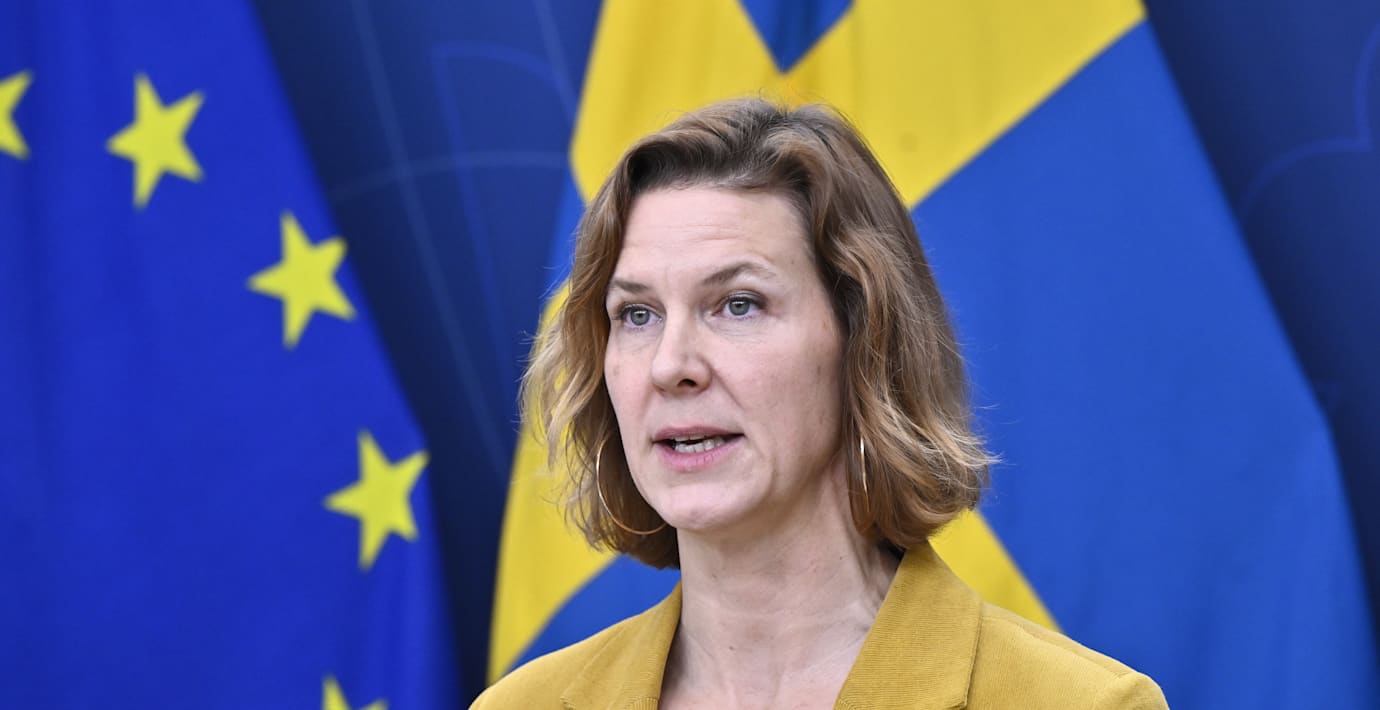 Regeringen vill att rätten till abort grundlagsskyddas