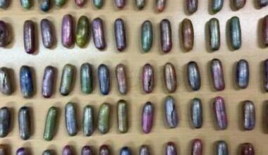 Svensk man gripen med hasch i magen