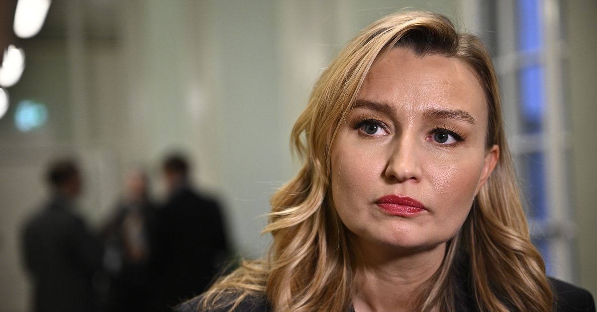 Busch: Höjda elnätsavgifter ska granskas - SVT Nyheter