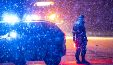 Polis avlivade älg med tjänstevapen efter olycka