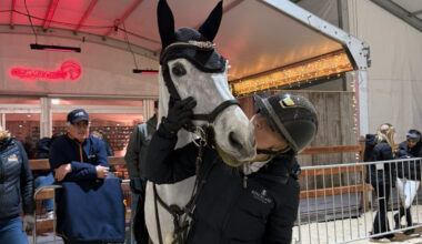 Lilli Mellström tog fin placering i stora ponnyfinalen: "Jättenöjd med min ponny"