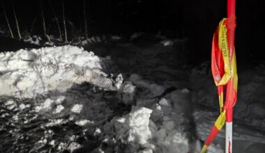 Kvarlevor hittade i utbrunnen bil – kvinna häktad - NSD