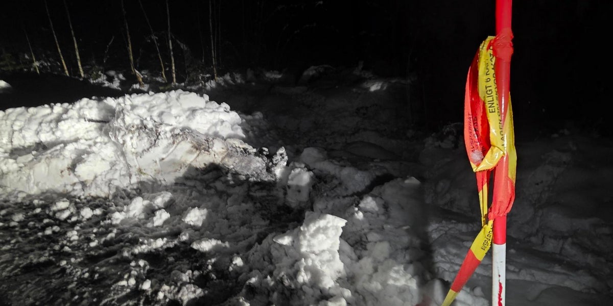 Kvarlevor hittade i utbrunnen bil – kvinna häktad - NSD