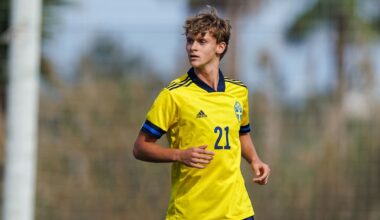 Unge Ibrahimovic får plats i Milans trupp