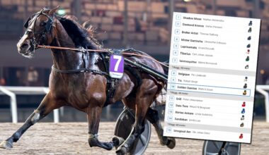 90 miljoner ligger i V85-jackpott på nyårsafton