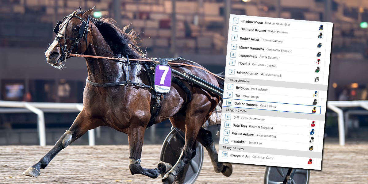 90 miljoner ligger i V85-jackpott på nyårsafton