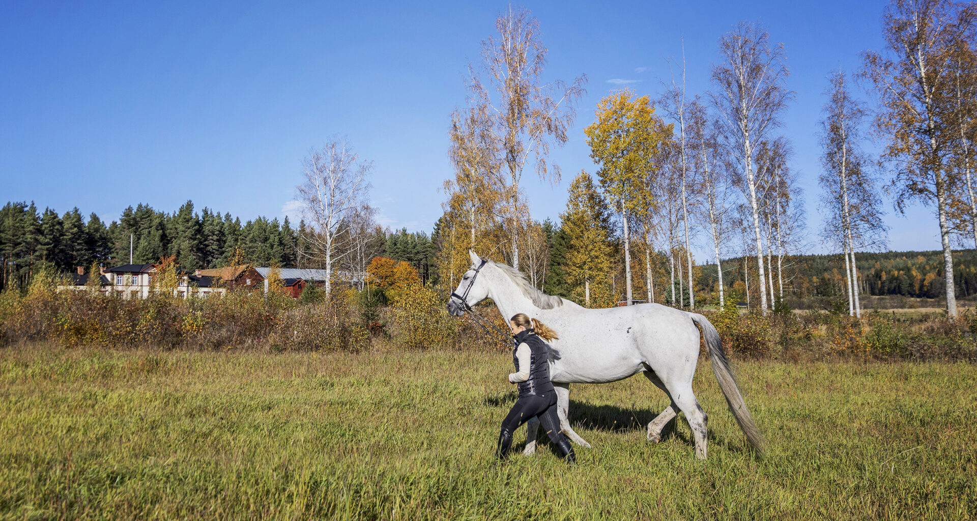 Hjälmen räddade Josefins liv - Ridsport