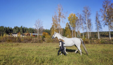 Hjälmen räddade Josefins liv - Ridsport