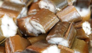 Köp inte den utrotningshotade ålen till julbordet – Kristianstadsbladet