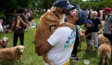 2 397 golden retrievers i samma park i Buenos Aires