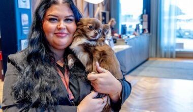 Raketfritt nyår – igelkott checkades in - SvD