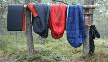 Regeringen kunde följa scoutingens ideal om att möta andra med respekt – Hufvudstadsbladet