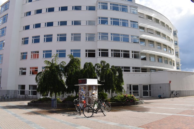 Prince Chacko Johnson har skrivit en doktorsavhandling om hur företag talar om AI på Jönköping International Business School.