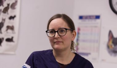 Veterinärer utsatta för hot och hat från djurägare