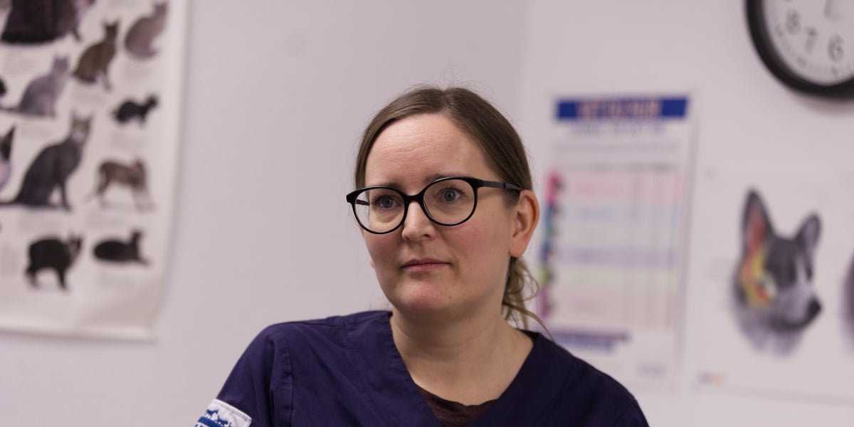 Veterinärer utsatta för hot och hat från djurägare