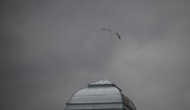 Gå inte i ljusfällan – så klarar du mörkret – Borås Tidning