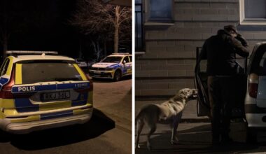 ”Vi söker efter vapen” – Kristianstadsbladet