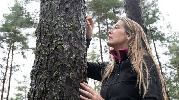 ”Har man möjlighet så är det en jättebra investering med skog”, tycker Frida Hard.
