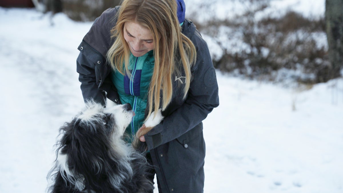 Hundhotell populärt för smällrädda hundar - Östersunds-Posten