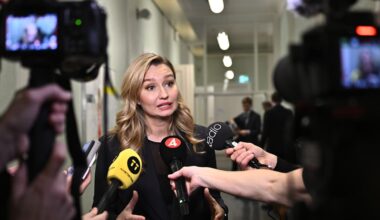 Svenska Kraftnät klarade inte uppgiften