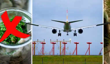 Arlanda ökar bemanning inför julresandet