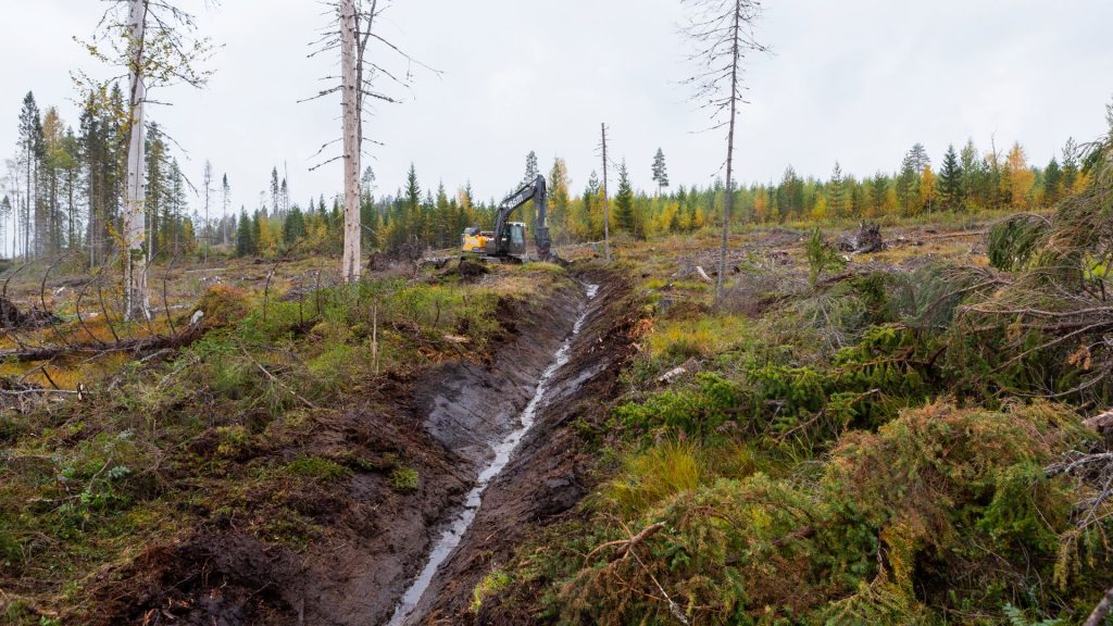 Ett dike på avverkad mark samt en traktor.