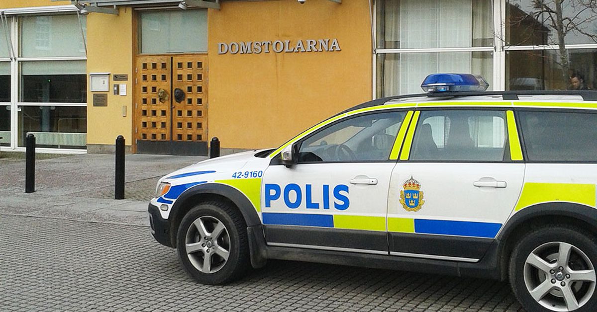 Bidragsbrott: Dans på fest kan ha avslöjat fuskande familj