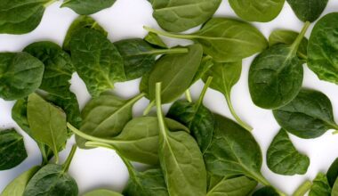 Därför är spenat ett bra vapen mot sjukdomar