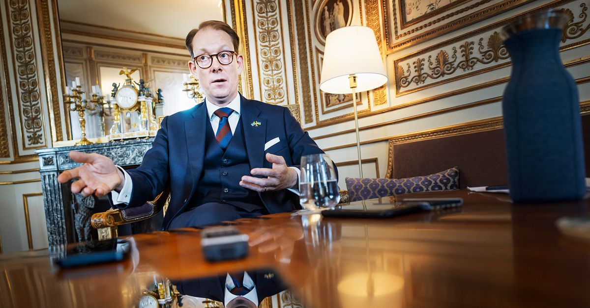 Billström får jobb inom försvarsindustrin