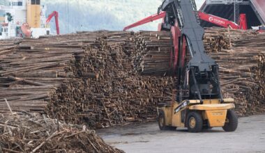 Basindustrin deppar: ”Ser inte några ljusglimtar”