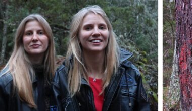 Sveriges Radio gör serie om Barnmördarkorset