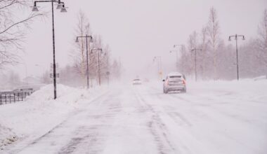 VMA utfärdat i flera län – två döda i trädolyckor - SvD