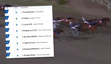 Galna raden på V85 – sju rätt ger 14 miljoner”