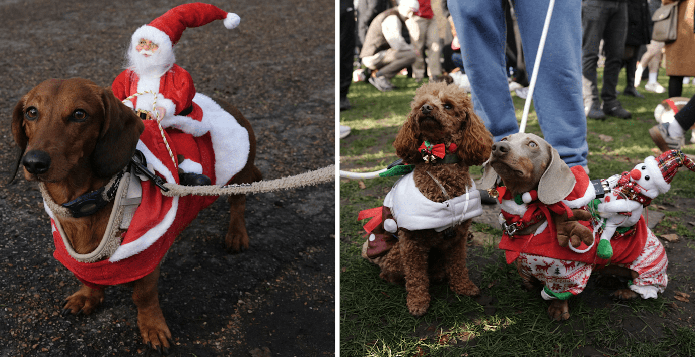 Hundratals taxar samlades i London för julpromenad