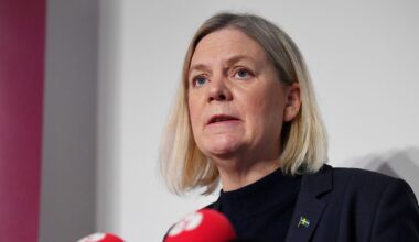 S vill ingå tioårspakt med M mot gängen