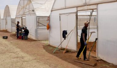 Unga i Afrika satsar på lantbruk – stadslivet för dyrt