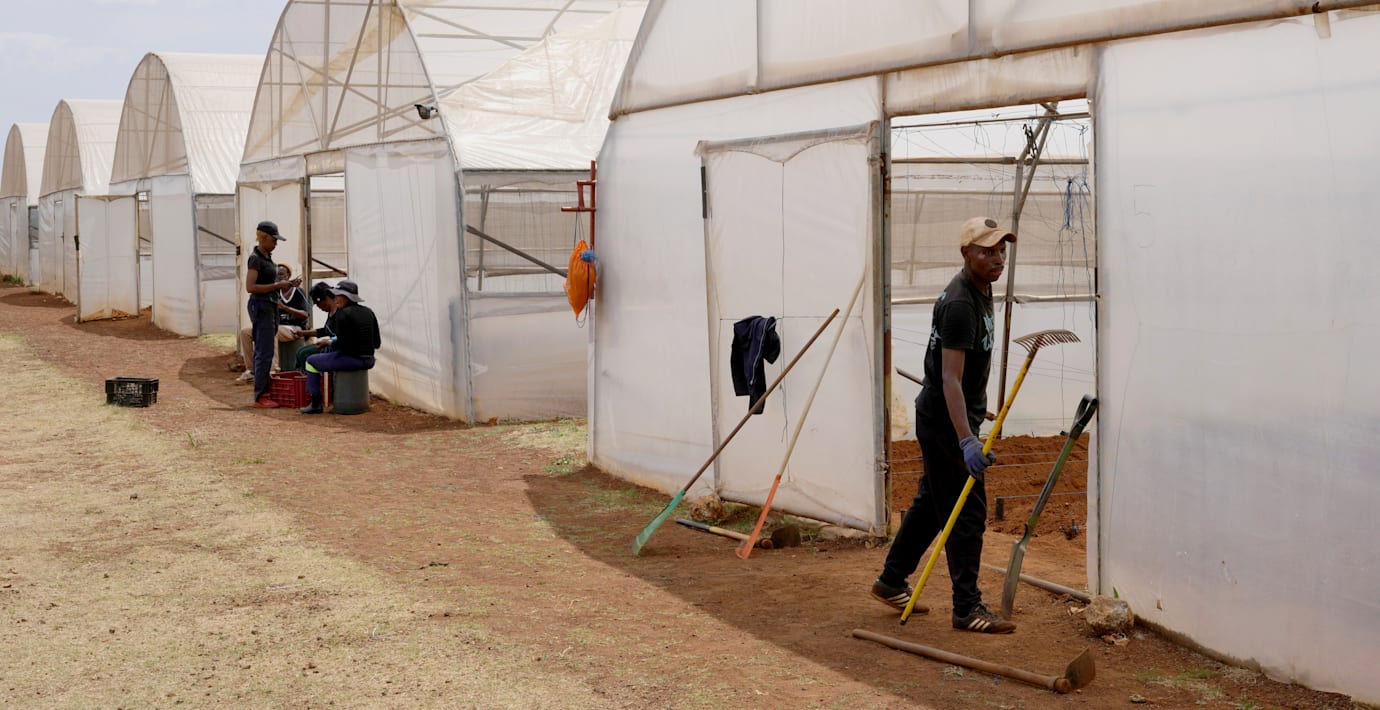 Unga i Afrika satsar på lantbruk – stadslivet för dyrt