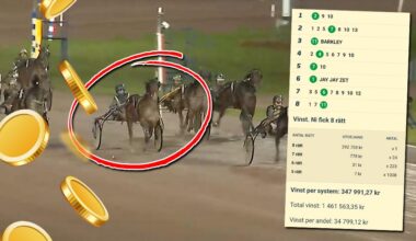 Skrällarna och V86-spikarna på Bergsåker och Solvalla 3 december