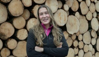 En ny generation tar plats i skogen