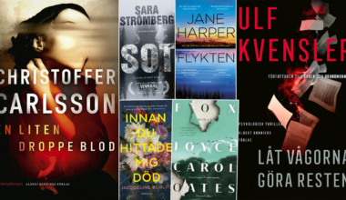 Kritikerna listar – här är årets 10 bästa deckare – Norra Skåne