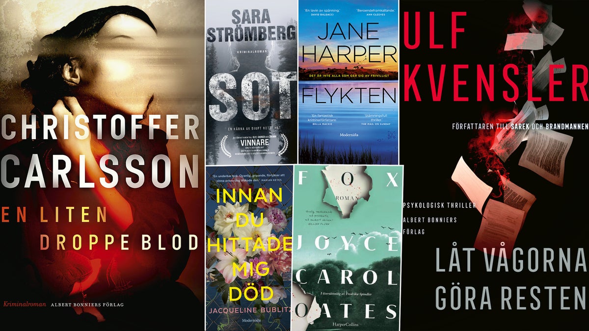 Kritikerna listar – här är årets 10 bästa deckare – Norra Skåne