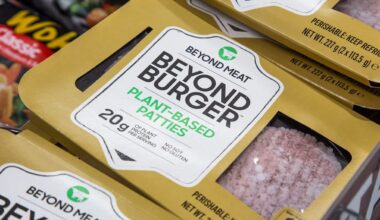 EU-förbud om vegoburgare skjuts upp: ”Väldigt rörigt”