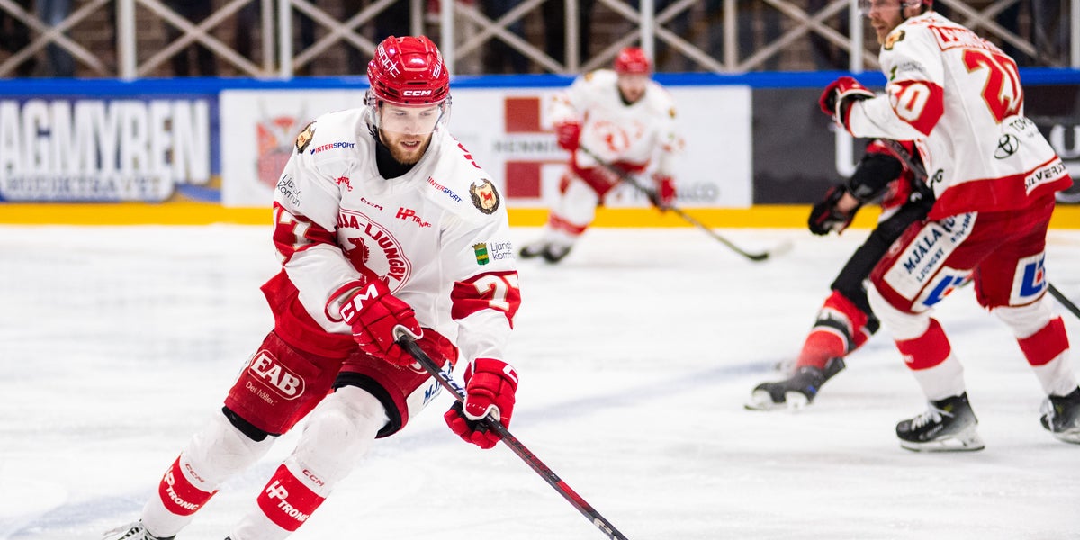 VIK lånar Joel och Max Wahlgren från Troja